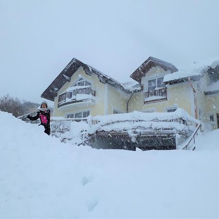 Ferienwohnung Nahe Fuschlsee, Hof Bei Salzburg Ngoại thất bức ảnh