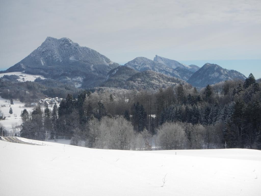 Ferienwohnung Nahe Fuschlsee, Hof Bei Salzburg Ngoại thất bức ảnh