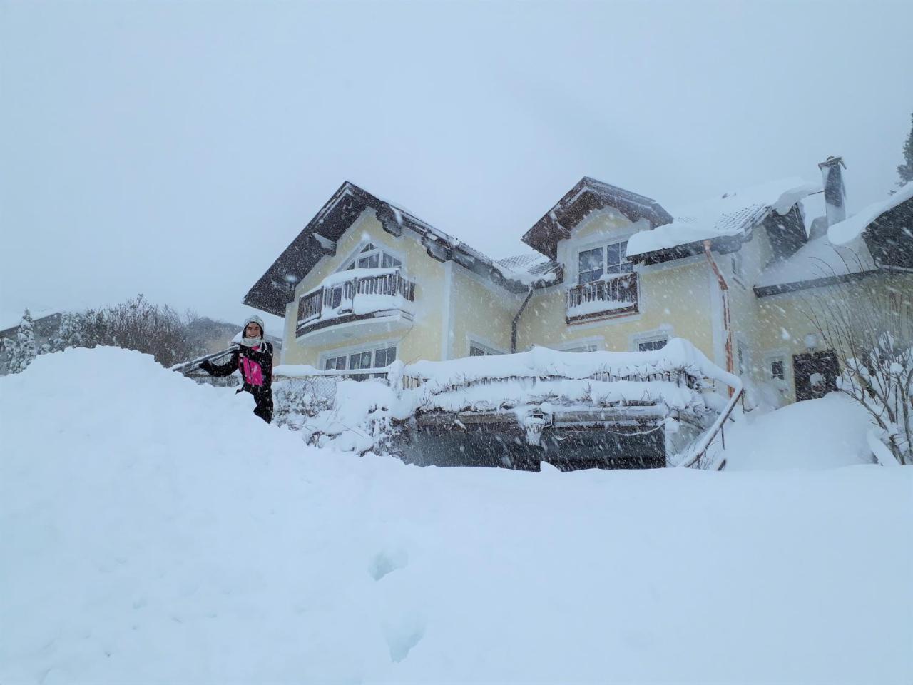 Ferienwohnung Nahe Fuschlsee, Hof Bei Salzburg Ngoại thất bức ảnh